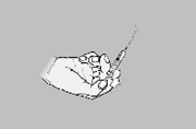 29088.png