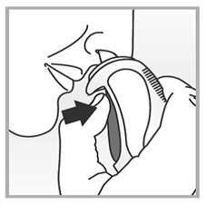 56003.png
