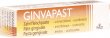 Ginvapast Paste 10g
