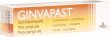 Ginvapast Paste 25g