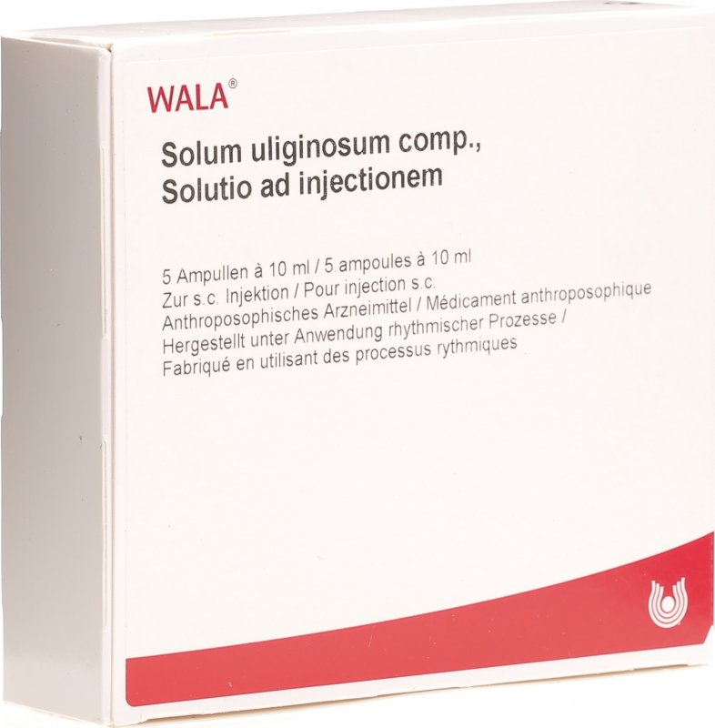 Wala Solum Uliginosum Comp Injektionslösung 5 Ampullen ...