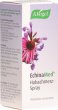 Echinamed Halsschmerz Spray 30ml