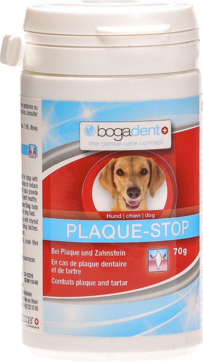 owalo design Pille Danach Fur Hunde