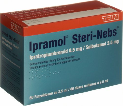 Ipramol Steri Nebs Inhalationslösung 2.5ml Ampullen 2x30 St in der ...