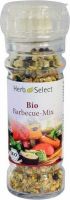 Produktbild von Herbselect Barbecue Mix Bio 45g