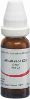 Produktbild von Omida Allium Cepa Globuli C 30 14g