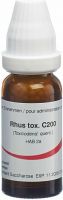 Produktbild von Omida Rhus Toxicodendron Globuli C 200 14g