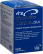 Product picture of Vita Chondrocurma Plus Pulver Beutel 20 Stück
