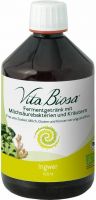 Produktbild von Vita Biosa Probiotic Ingwer Flasche 500ml