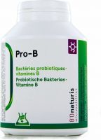Produktbild von Bionaturis Pro-b Kapseln 4.8 Mia+vit B Kapseln 240 Stück