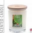 Product picture of Essence Of Nature Scented Candle White Bir 180g