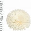 Produktbild von Essence Of Nature Ersatzblüte 8cm Gerbera