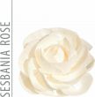 Produktbild von Essence Of Nature Ersatzblüte 8cm Rose