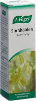 Produktbild von Vogel Stirnhoehlen Dosierspray Flasche 20ml