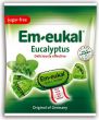 Image du produit Soldan Em-Eukal Eucalyptus Zuckerfrei Beutel 50g
