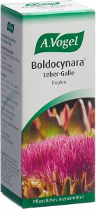 Image du produit Vogel Boldocynara Leber-Galle Tropfen Flasche 100ml