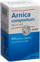 Produktbild von Arnica Comp Heel Tabletten Ad Us Vet. Dose 250 Stück