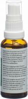 Produktbild von Heidak Spagyrik Hedera Helix Plus Spray Flasche 30ml
