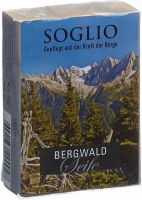 Produktbild von Soglio Bergwald-Seife 95g