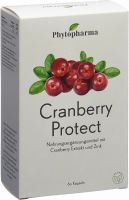 Product picture of Phytopharma Cranberry Protect Kapseln 60 Stück