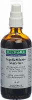 Product picture of Herbamed Porpolis-Holunder Mundspray 100ml