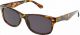 Produktbild von Invu Sonnen-Lesebrille 3.00dpt B6137j