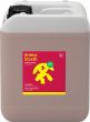 Image du produit Anima Strath Aufbaumittel 5 Liter