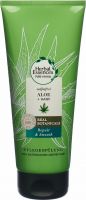 Product picture of Herbal Essences Aloe & Hemp conditioner 180ml