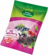 Produktbild von Liebharts Bonbons Wildberry Bio Beutel 100g