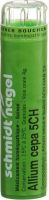 Produktbild von Sn Allium Cepa Granulat Ch 5 4g