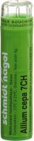 Produktbild von Sn Allium Cepa Granulat Ch 7 4g