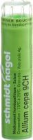 Produktbild von Sn Allium Cepa Granulat Ch 9 4g