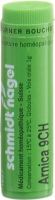 Produktbild von Sn Arnica Globuli Ch 9 1g