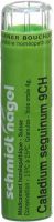Produktbild von Sn Caladium Seguinum Granulat Ch 9 4g