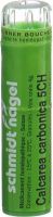 Produktbild von Sn Calcarea Carbonica Granulat Ch 5 4g