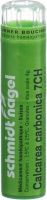 Produktbild von Sn Calcarea Carbonica Granulat Ch 7 4g