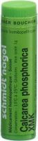 Produktbild von Sn Calcarea Phosphorica Globuli Xmk 1g