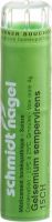 Produktbild von Sn Gelsemium Sempervirens Granulat Ch 15 4g