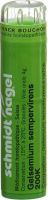 Produktbild von Sn Gelsemium Sempervirens Granulat 200 K 4g