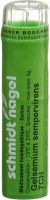 Produktbild von Sn Gelsemium Sempervirens Granulat Ch 7 4g