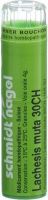 Produktbild von Sn Lachesis Muta Granulat Ch 30 4g