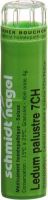 Produktbild von Sn Ledum Palustre Granulat Ch 7 4g