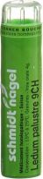 Produktbild von Sn Ledum Palustre Granulat Ch 9 4g