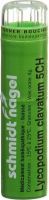 Produktbild von Sn Lycopodium Clavatum Granulat Ch 5 4g