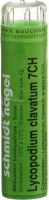 Produktbild von Sn Lycopodium Clavatum Granulat Ch 7 4g