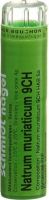 Produktbild von Sn Natrum Muriaticum Granulat Ch 9 4g