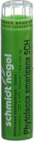 Produktbild von Sn Phytolacca Americana Granulat Ch 5 4g