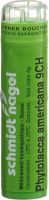 Produktbild von Sn Phytolacca Americana Granulat Ch 9 4g