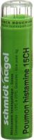 Produktbild von Sn Poumon Hist Granulat Ch 15 4g