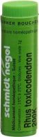 Produktbild von Sn Rhus Toxicodendron Globuli 200 K 1g